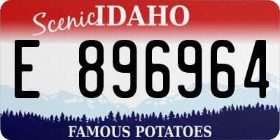 ID license plate E896964