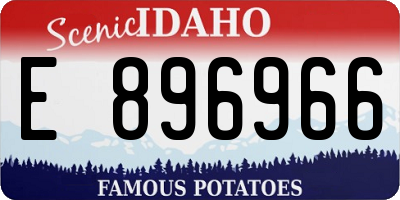 ID license plate E896966