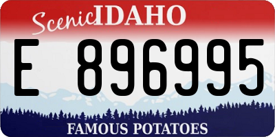 ID license plate E896995