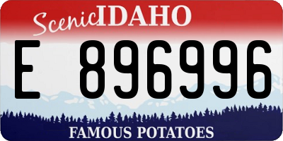 ID license plate E896996
