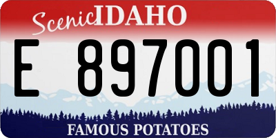 ID license plate E897001
