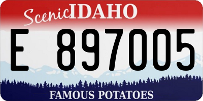 ID license plate E897005