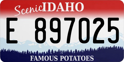 ID license plate E897025