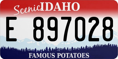 ID license plate E897028