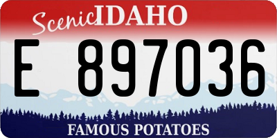 ID license plate E897036