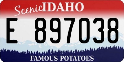 ID license plate E897038