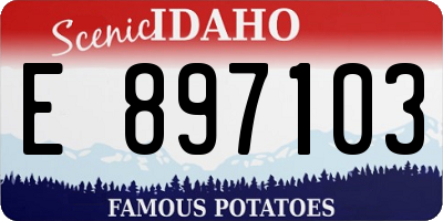 ID license plate E897103
