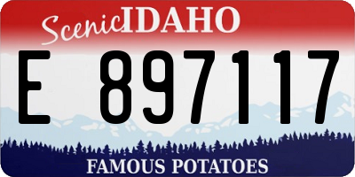 ID license plate E897117
