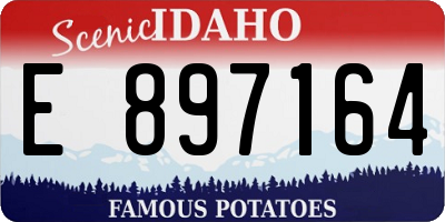 ID license plate E897164