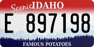 ID license plate E897198