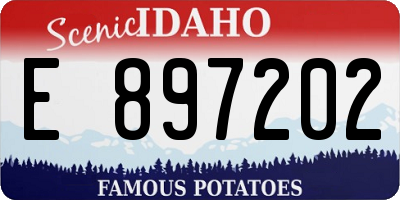 ID license plate E897202