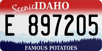 ID license plate E897205