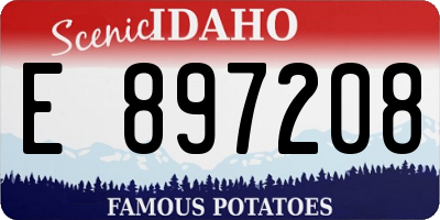 ID license plate E897208