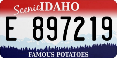 ID license plate E897219