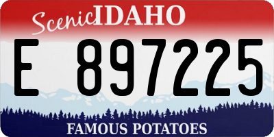 ID license plate E897225