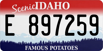 ID license plate E897259