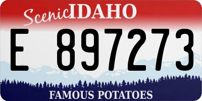 ID license plate E897273