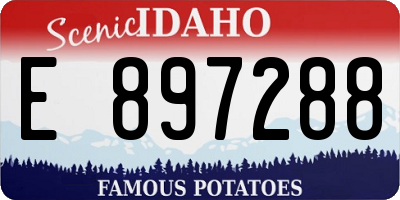 ID license plate E897288