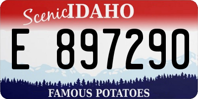 ID license plate E897290