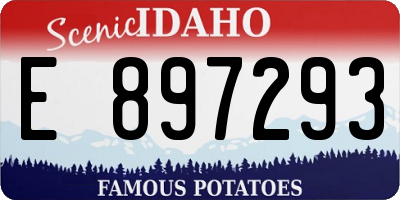 ID license plate E897293