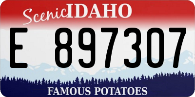 ID license plate E897307