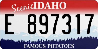 ID license plate E897317