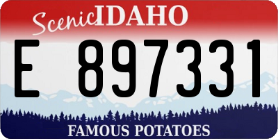 ID license plate E897331