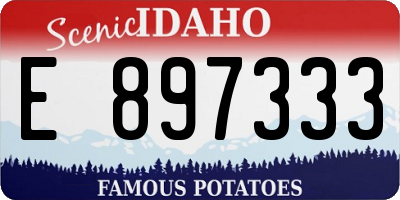 ID license plate E897333