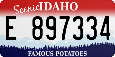 ID license plate E897334