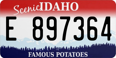 ID license plate E897364