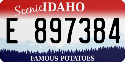 ID license plate E897384