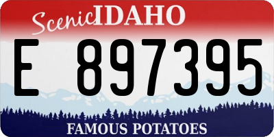 ID license plate E897395