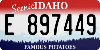 ID license plate E897449