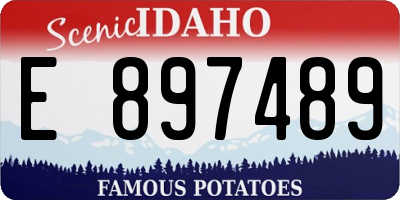 ID license plate E897489