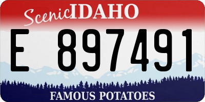 ID license plate E897491