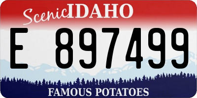 ID license plate E897499
