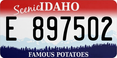 ID license plate E897502