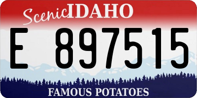 ID license plate E897515