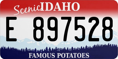 ID license plate E897528
