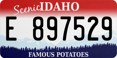 ID license plate E897529