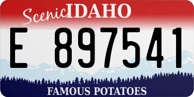 ID license plate E897541
