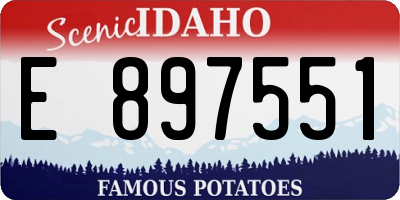 ID license plate E897551