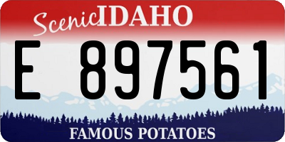 ID license plate E897561