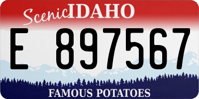 ID license plate E897567