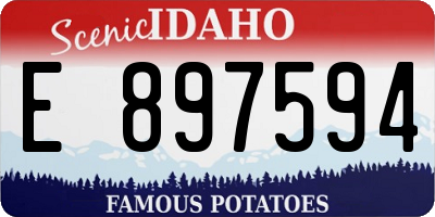 ID license plate E897594