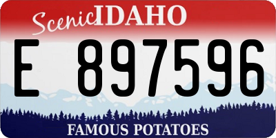 ID license plate E897596