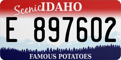 ID license plate E897602