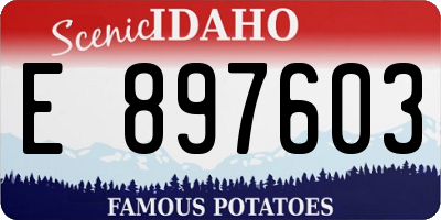 ID license plate E897603