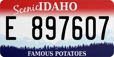 ID license plate E897607