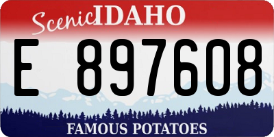 ID license plate E897608